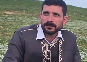 Kendal şengalî
