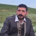 Kendal şengalî